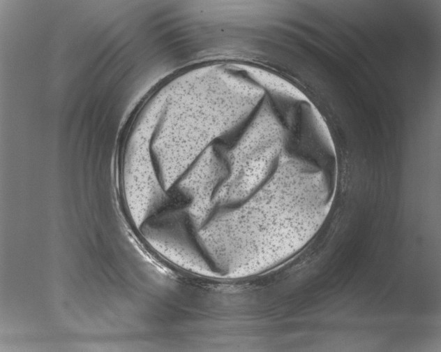 X0000076100796200610202134