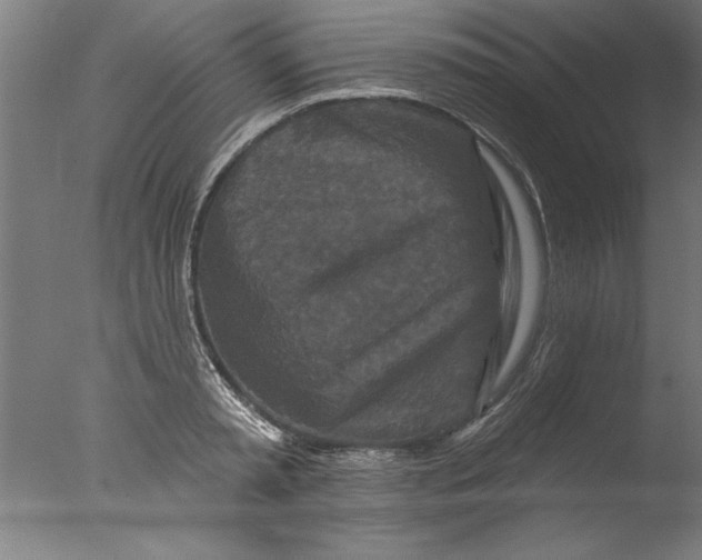 X0000076100797200610202134