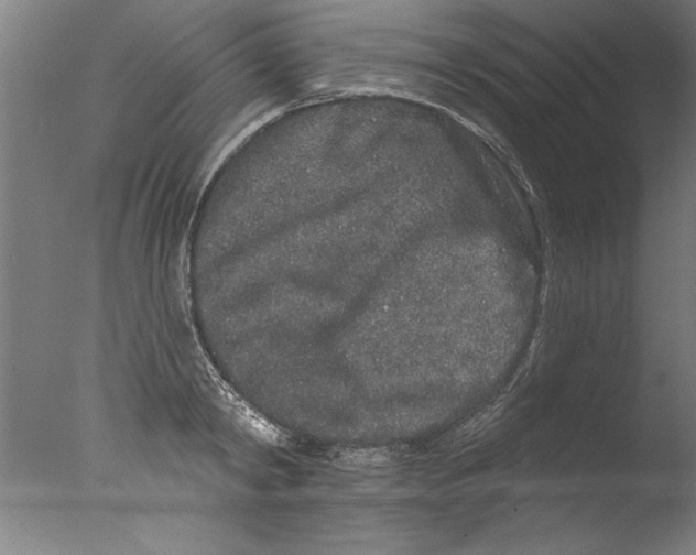 X0000076100798200610202134