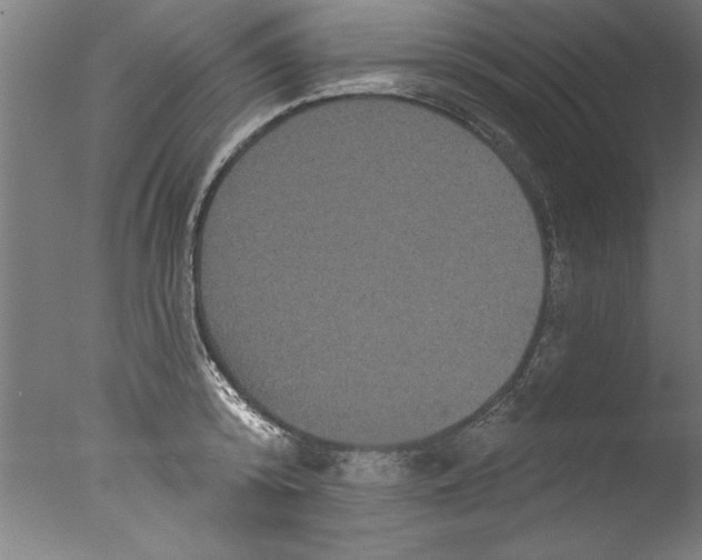 X0000076100800200610202134