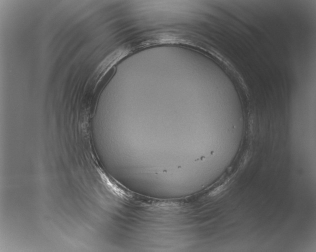 X0000076100801200610202134