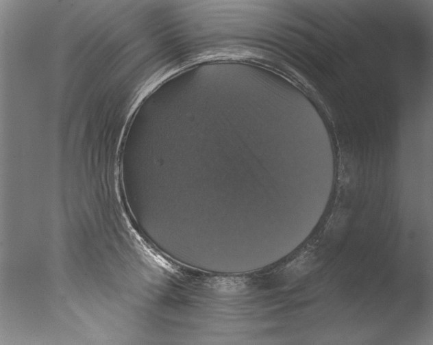 X0000076100802200610202134