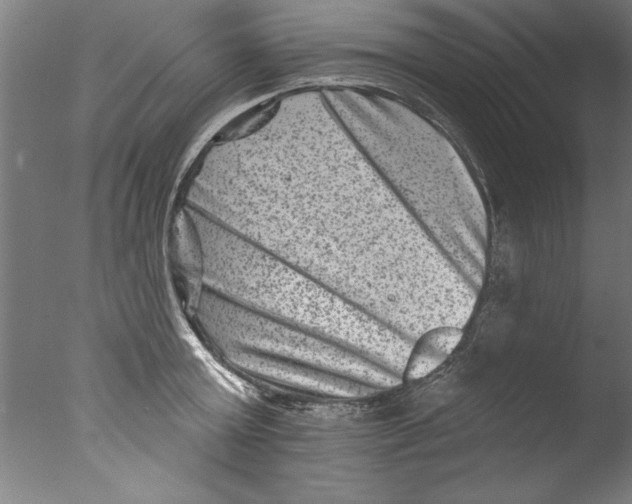 X0000076100803200610202134