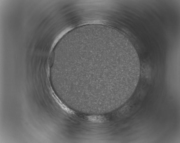 X0000076100804200610202134