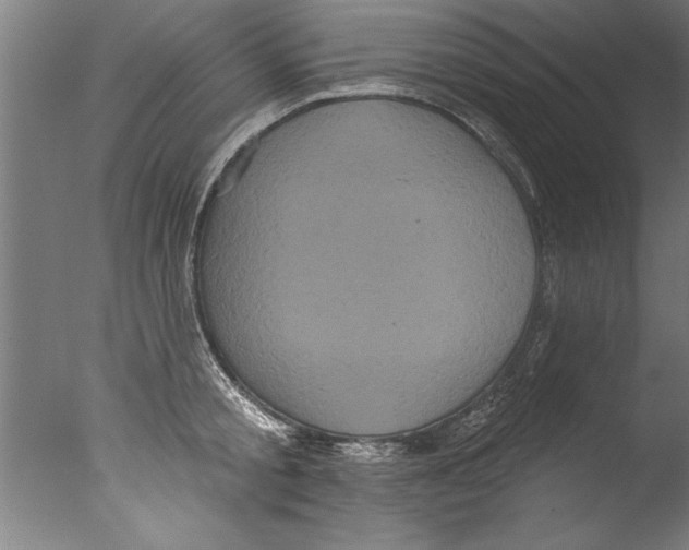 X0000076100805200610202134