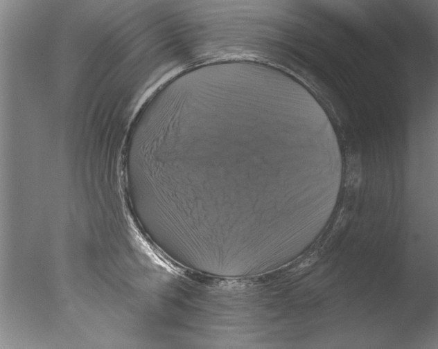 X0000076100806200610202134