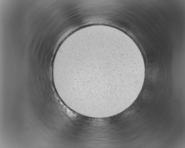 X0000076100807200610202134