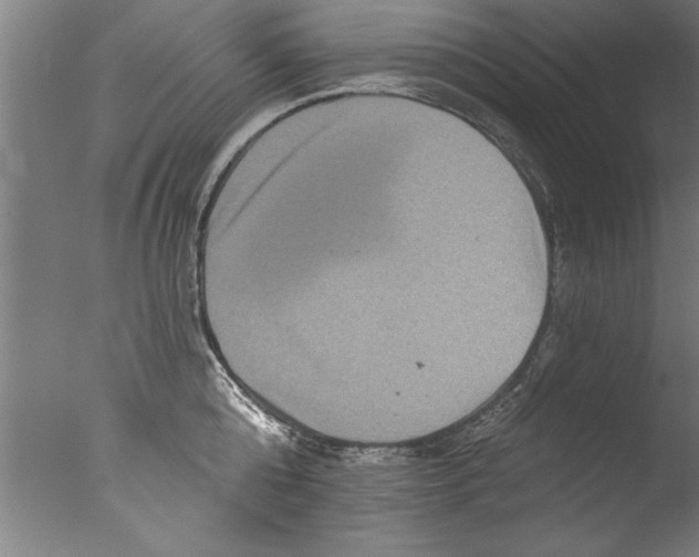 X0000076100808200610202134