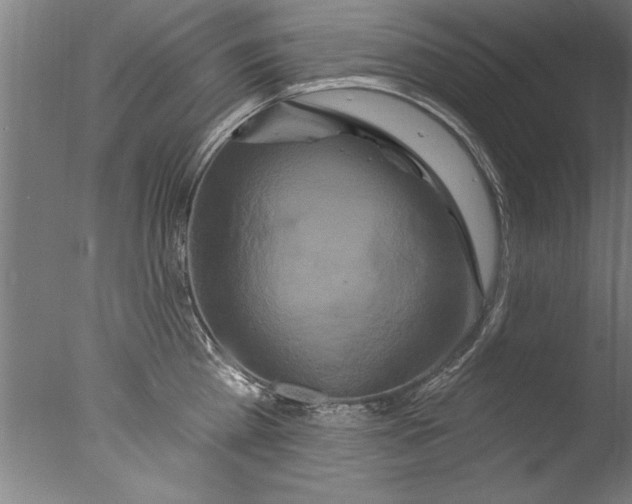 X0000076100809200610202134