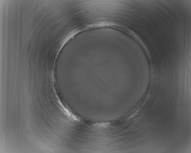 X0000076100810200610202134