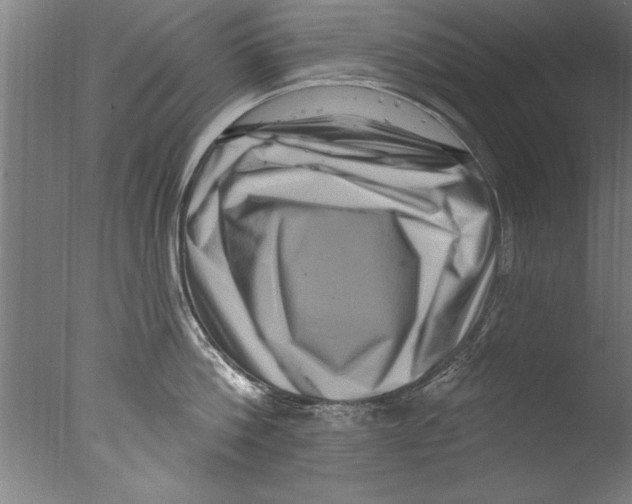 X0000076100812200610202134