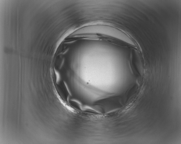 X0000076100813200610202134