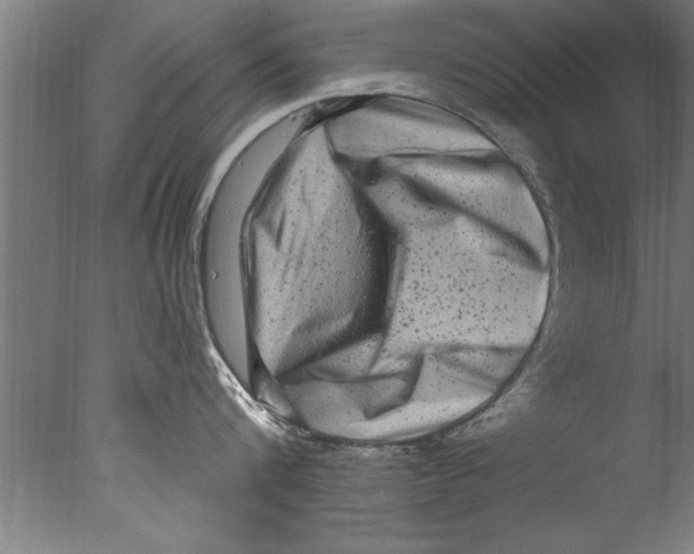 X0000076100816200610202134