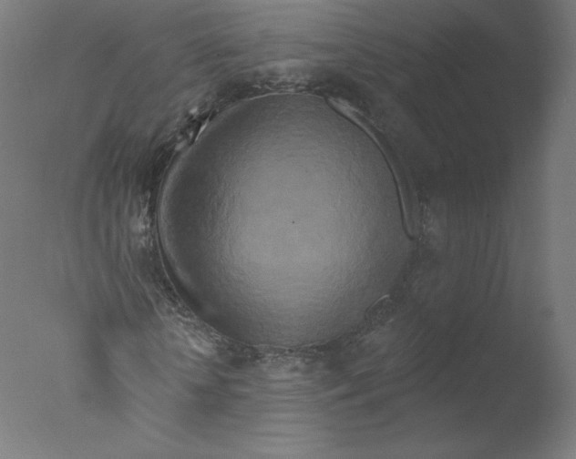 X0000076100818200610202133