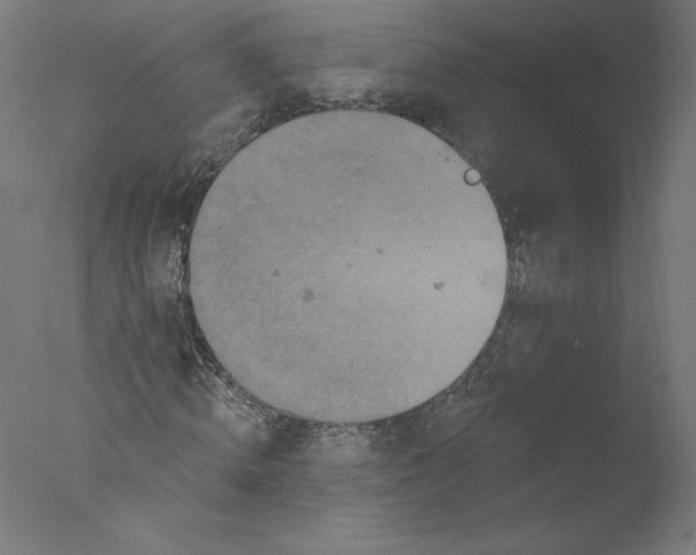 X0000076100820200610202133