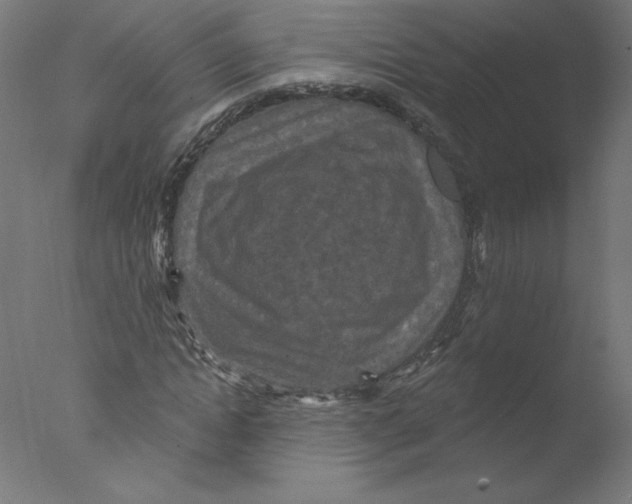 X0000076100822200610202133