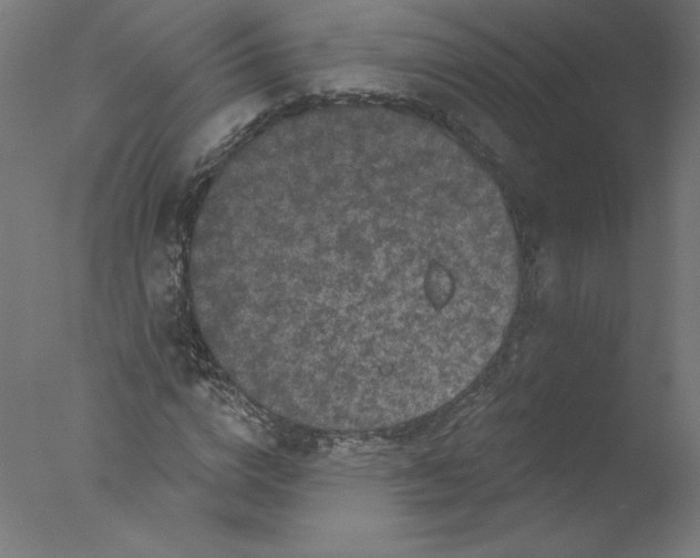 X0000076100824200610202133