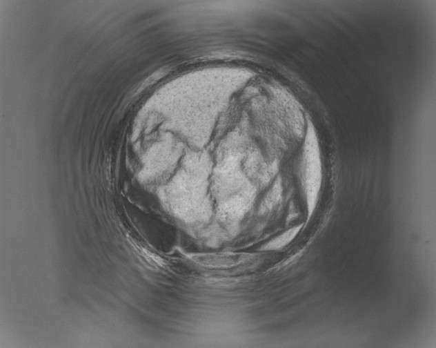 X0000076100825200610202133