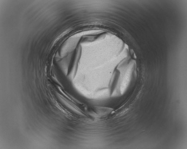 X0000076100826200610202133