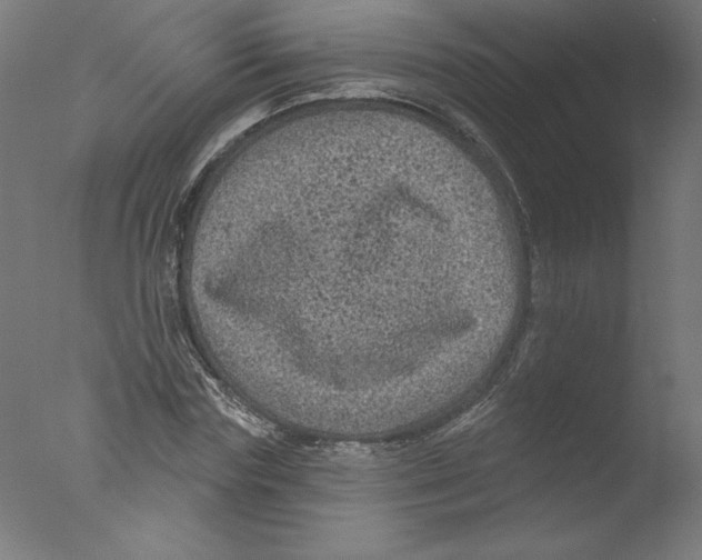 X0000076100827200610202133