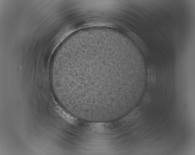 X0000076100828200610202133