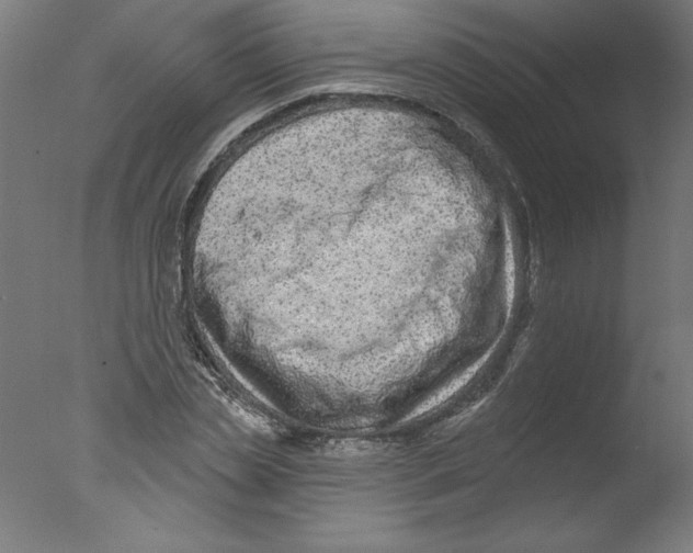 X0000076100829200610202133