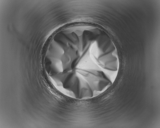 X0000076100830200610202133