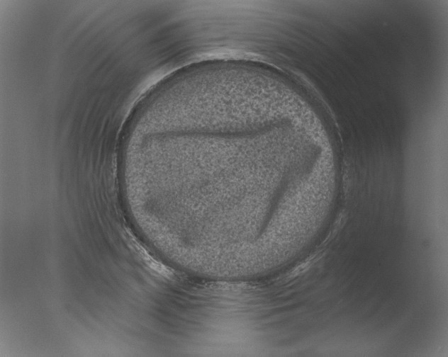 X0000076100831200610202133