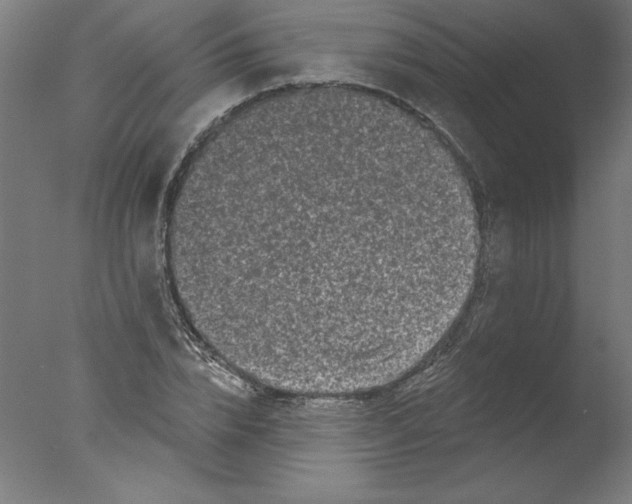 X0000076100832200610202133