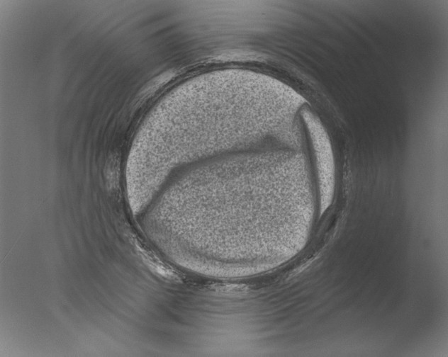 X0000076100833200610202133