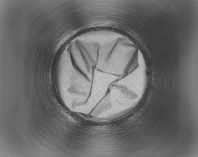 X0000076100834200610202133