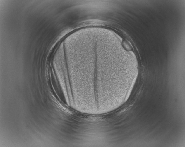 X0000076100835200610202133