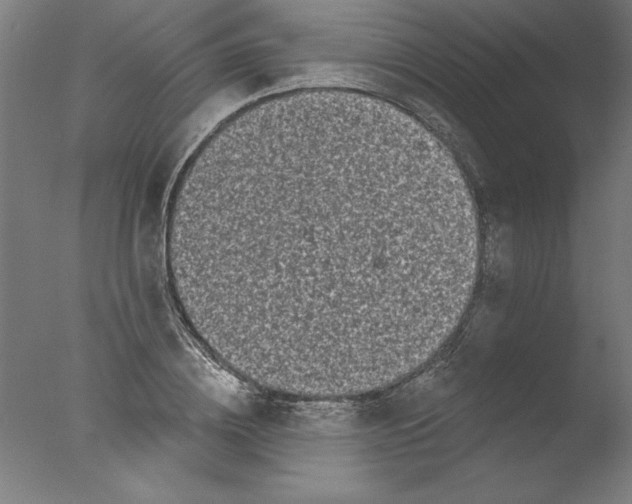 X0000076100836200610202133