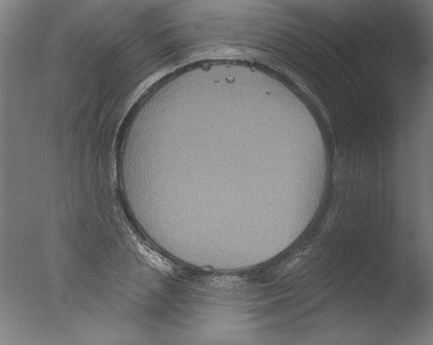 X0000076100837200610202133