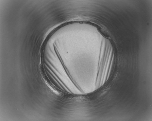 X0000076100838200610202133