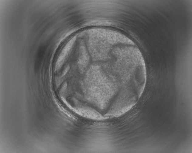 X0000076100840200610202133