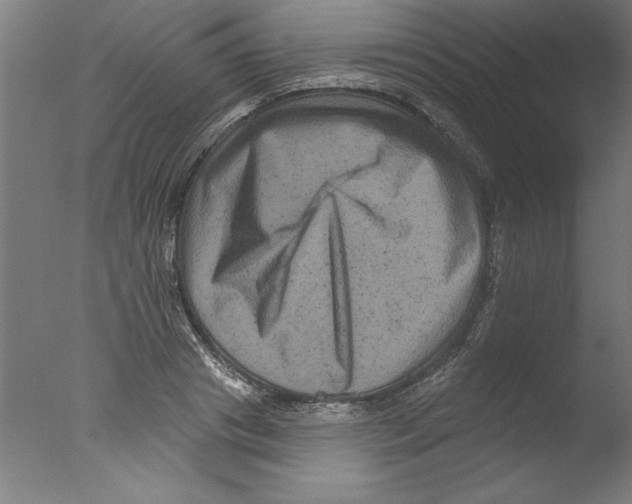 X0000076100841200610202133