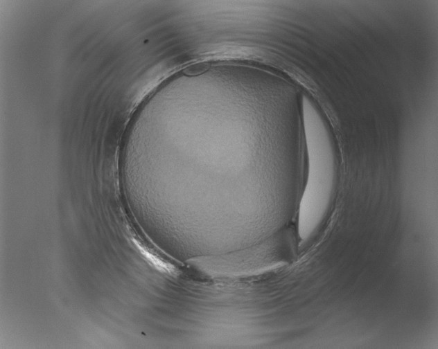 X0000076100842200610202134