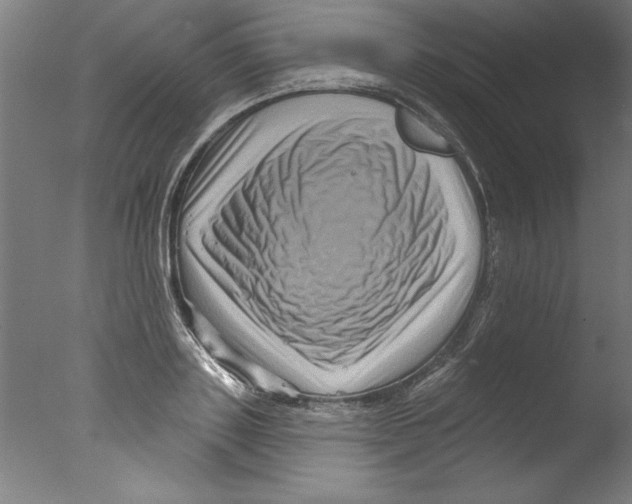 X0000076100843200610202134