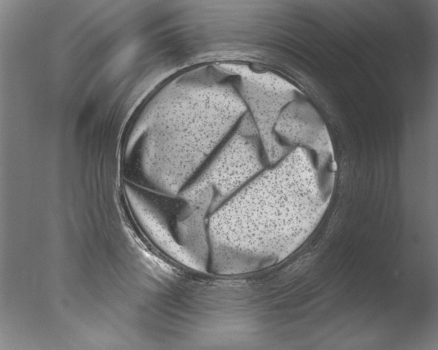 X0000076100844200610202134