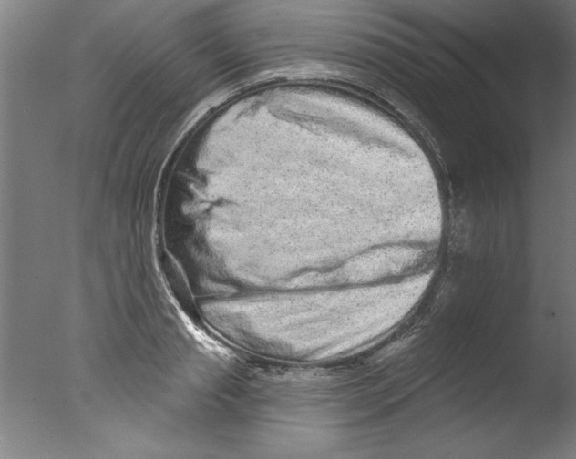 X0000076100845200610202134