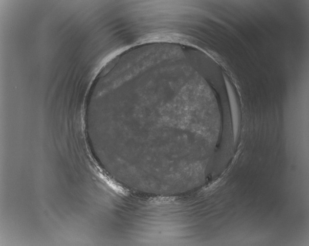 X0000076100846200610202134