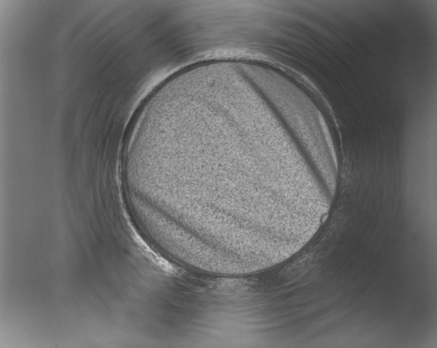 X0000076100847200610202134