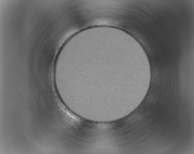 X0000076100848200610202134