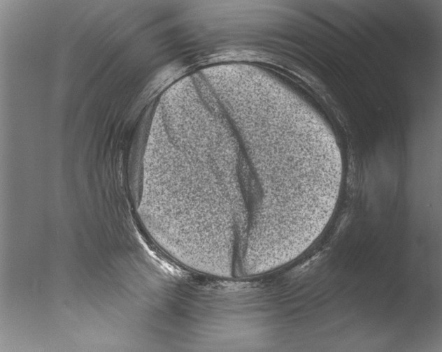 X0000076100849200610202134