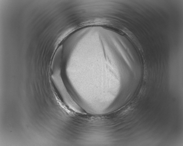 X0000076100850200610202134