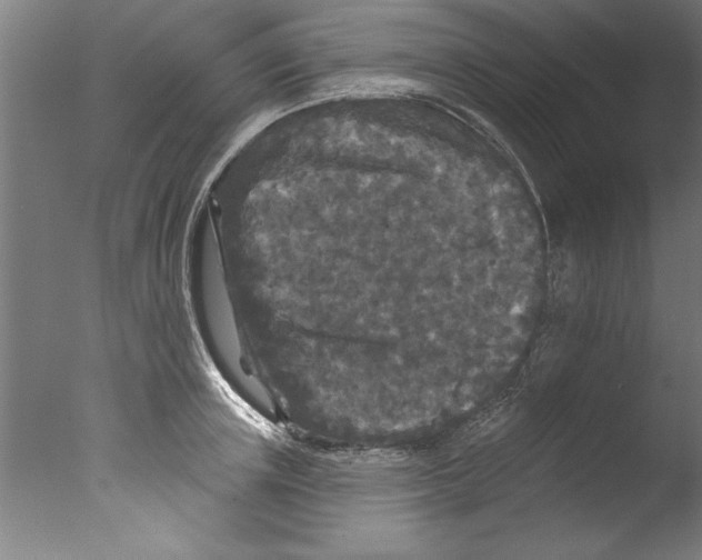 X0000076100851200610202134