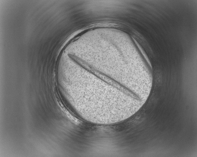 X0000076100852200610202134