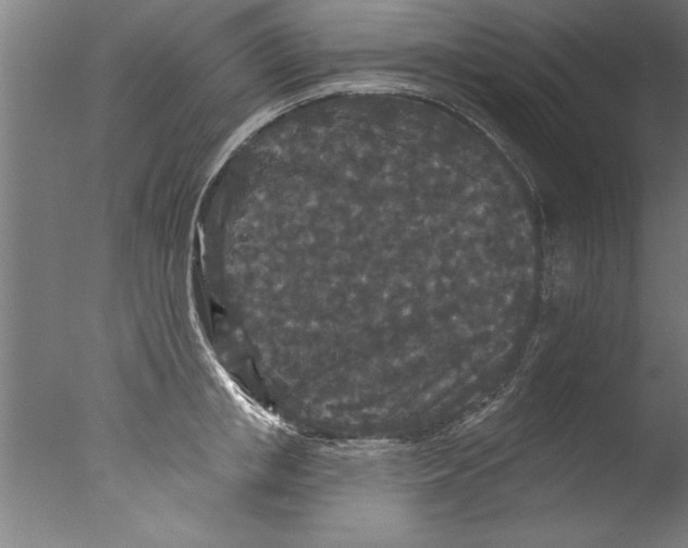 X0000076100853200610202134