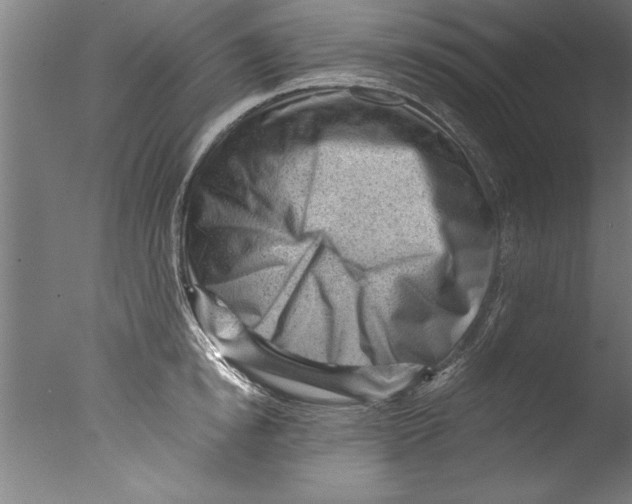 X0000076100854200610202134